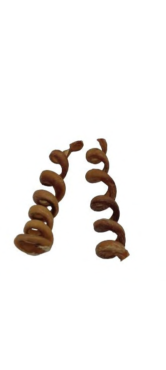 CURLY BEEF PIZZLE