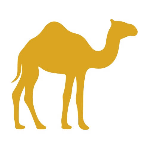 Camel Kausnacks