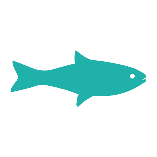 Fish Kausnacks
