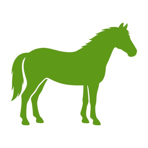 Horse Kausnacks