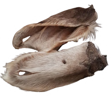 BEEF EARS WITH HAIR