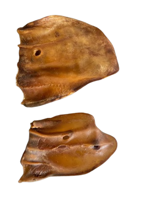 BEEF EAR FLAT