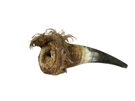 BEEF HORN