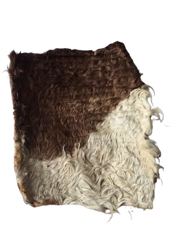 BEEF SKIN WITH HAIR PLATE