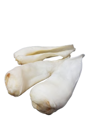 LAMB EARS