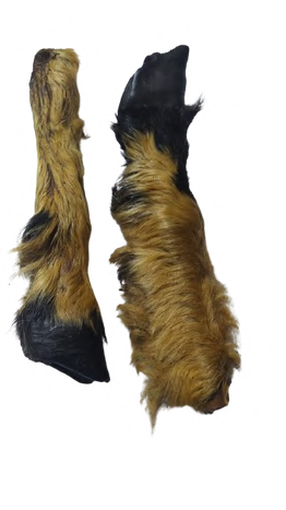 LAMB FEET WITH HAIR
