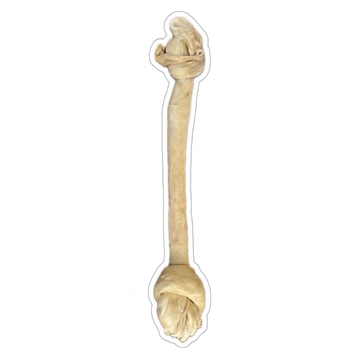 LAMB SKIN BONE