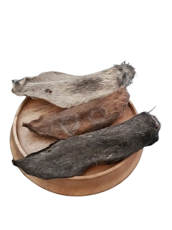 GOAT EARS WITH HAIR