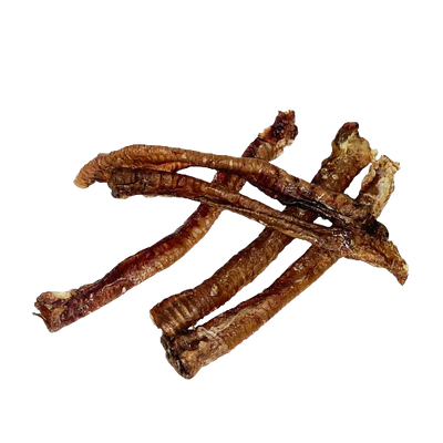 GOAT TRACHEA