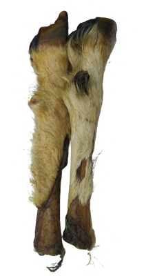 GOAT FOOT WITH HAIR