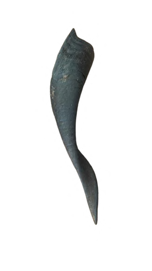 GOAT HORN