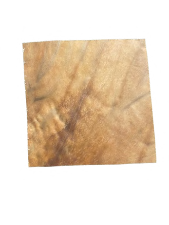 HORSE SKIN PLATE