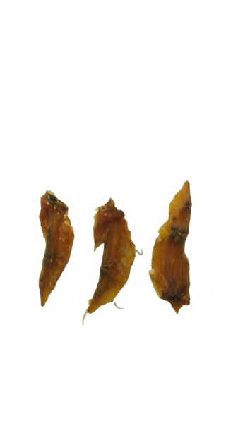 CHICKEN WING
