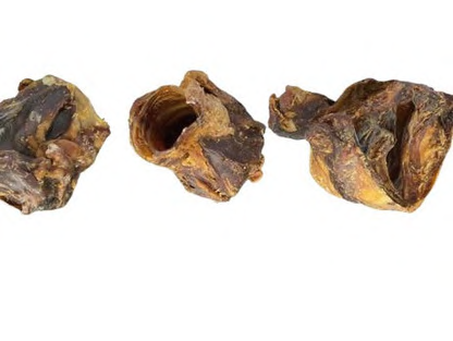 BEEF LARYNX