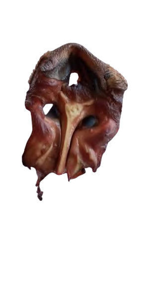 BEEF NOSE CARTILAGE