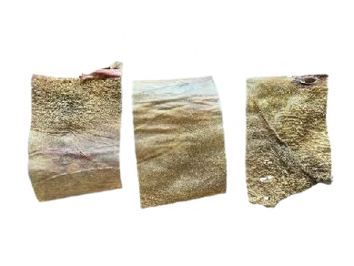 BEEF TRIPE PLATE