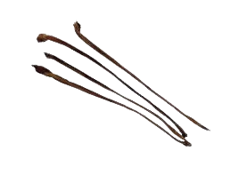 CALF PIZZLE 45-60 CM