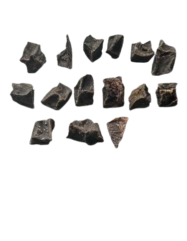 BEEF HEART CUBES