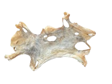 LAMB HEADSKIN PLATE