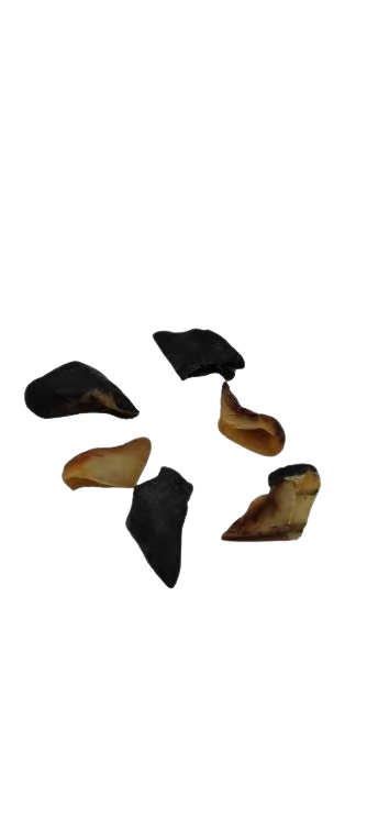 GOAT HOOVES