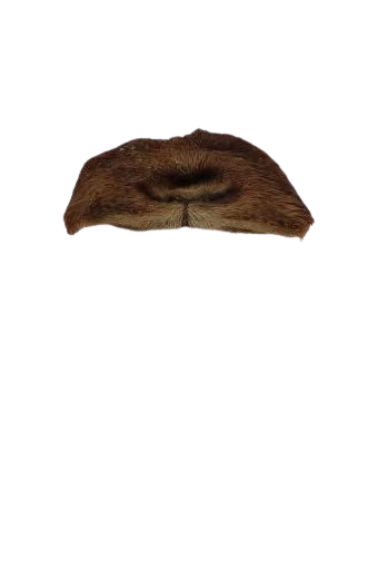 GOAT NOSE WITH HAIR