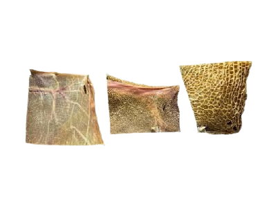 GOAT TRIPE PLATE