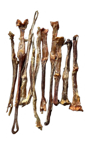 HORSE TENDON