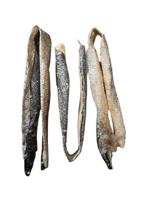 SALMON SKIN