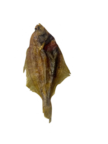 SCHAR FISH